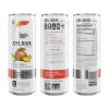 imageCELSIUS Sparkling Kiwi Strawberry Sugar Free Energy Drink 12 Fl Oz Pack of 12Fizz Free Peach Mango
