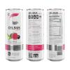imageCELSIUS Sparkling Kiwi Strawberry Sugar Free Energy Drink 12 Fl Oz Pack of 12Fizz Free Variety